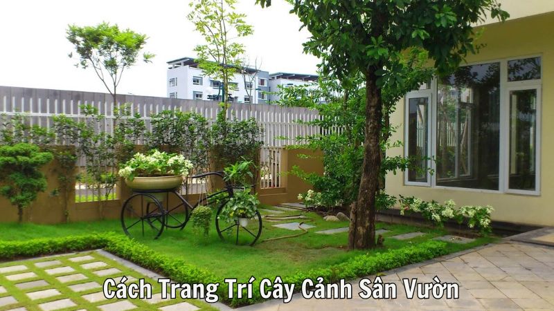 Cách Trang Trí Cây Cảnh Sân Vườn