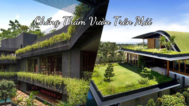 chống thấm vườn trên mái