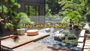 Tiểu Cảnh Vườn Nhật