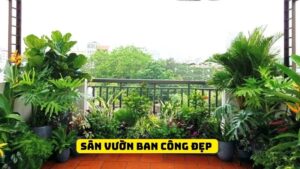 sân vườn ban công đẹp