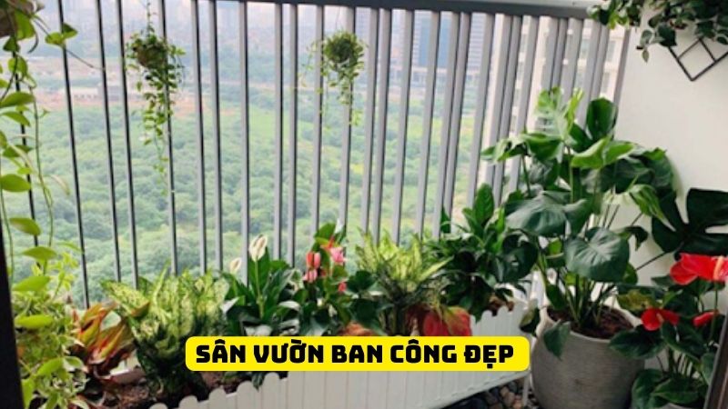 sân vườn ban công đẹp